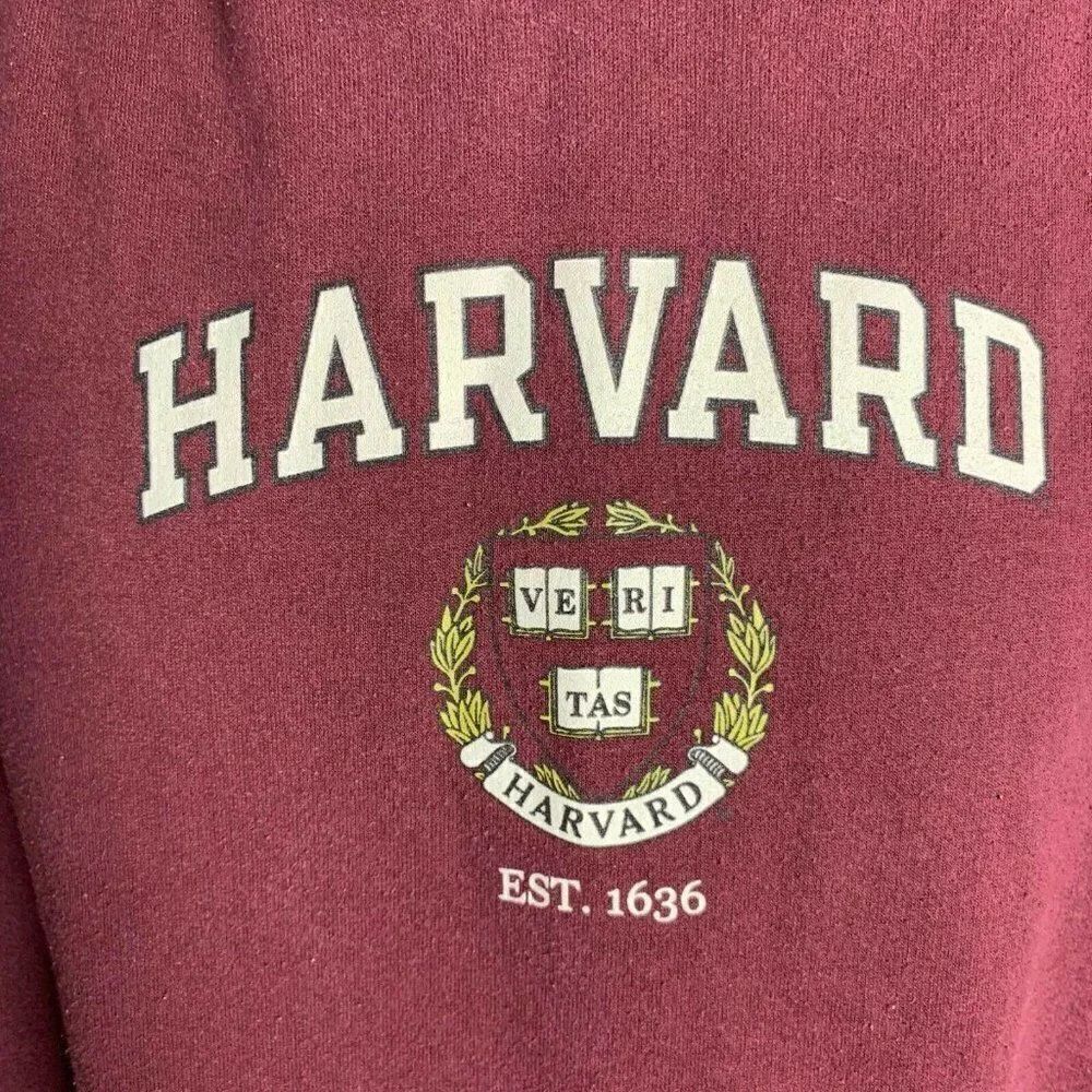 Champion Harvard Hoodie Sweatshirt S Maroon Red - Picture 3 of 8